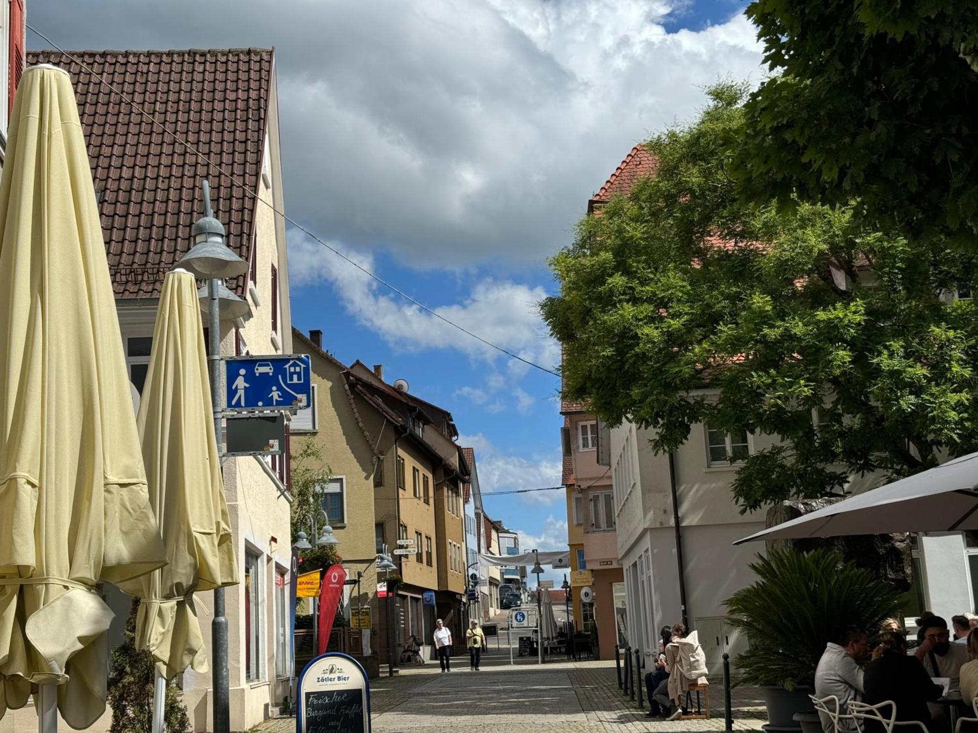 90Qm 4-Zimmer-Wohnung - Apartment Friedrichstrasse Vaihingen an der Enz Exterior foto